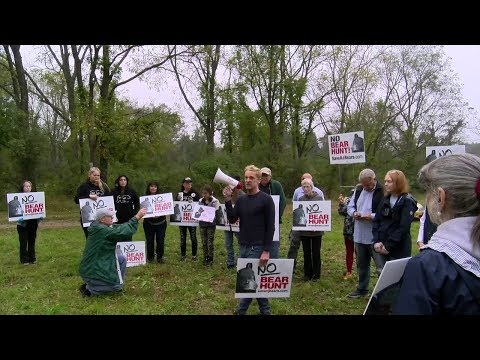 NJ Bear Hunt Day One Results