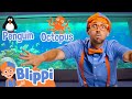 Blippi Visits An Aquarium Ody Aquarium Blippi Fun Cartoons For Kids Moonbug Kids
