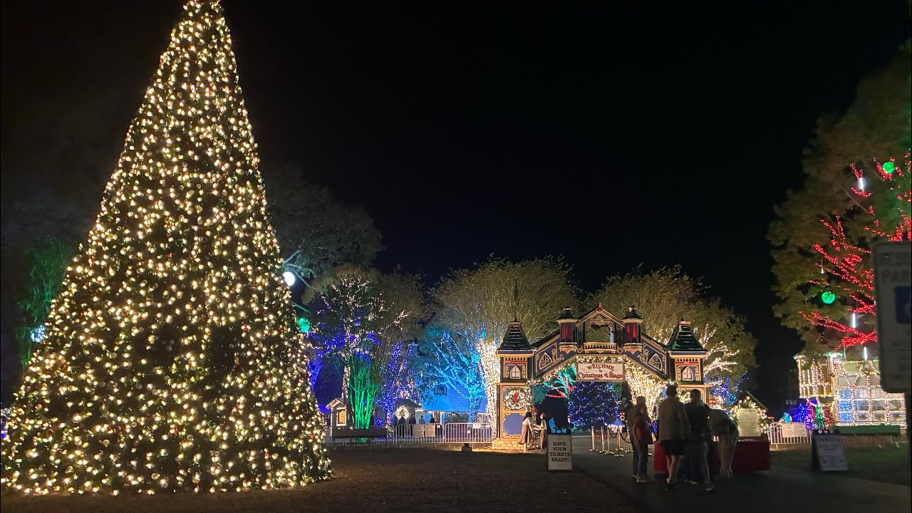 The Christmas Village (New for 2025)