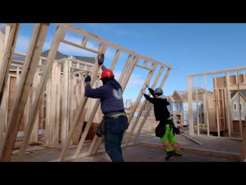 oakville ontario canada para mi razita latina