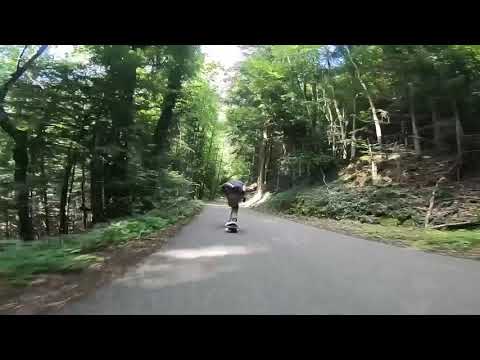 Till Heiden - in the forest