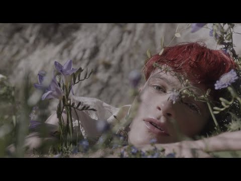 Jake Wesley Rogers - Lavender Forever (Official Visualizer)