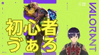ヴァロラント[VALORANT]　☆初心者のはじめてのヴァロ配信☆