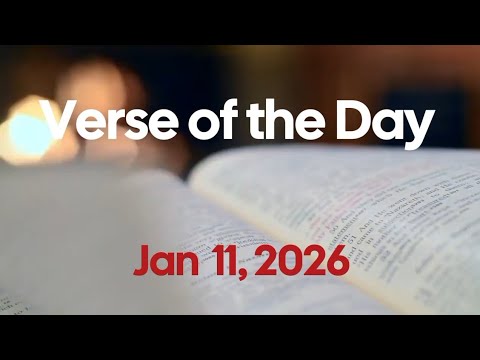 Was Proverbs 12:10 Talking About Animals or Something Else? | Verse of the Day
