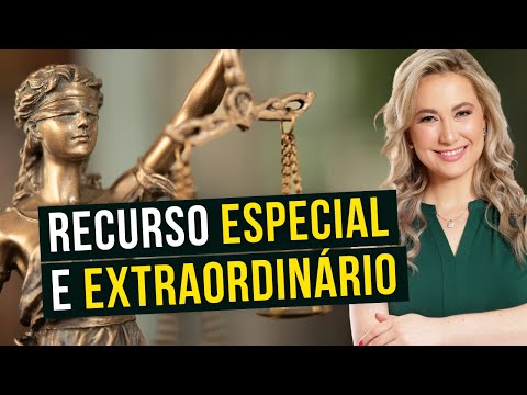 SPECIAL APPEAL and EXTRAORDINARY APPEAL (Summary)