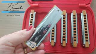 Video thumbnail for Kit 6 Harmônicas Hering Master Blues by Bequadro Instrumentos