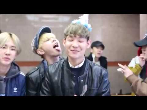 Topp Dogg Funny Moments/ Momentos Divertidos