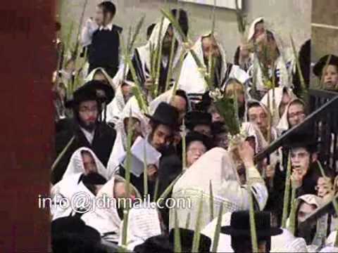 Nanu'im during Halel Hoshana Rabbah 5771 in Satmar (KJ)