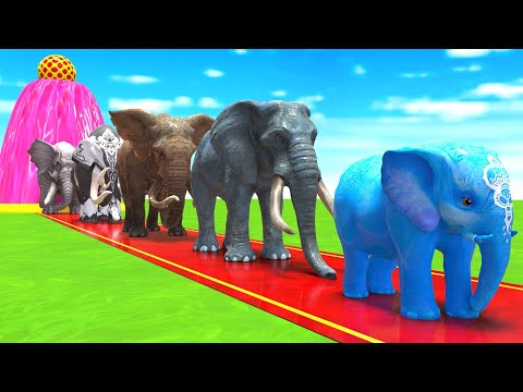 Akhil 3d Animation and Grandpa 3d Animation