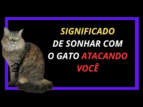 Spiritual meaning of dreaming about a cat attacking you - meaning of a cat attacking its owner.