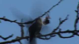 High noon - Točno u podne