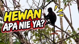 https://www.youtube.com/watch?v=gxdPGEkxF_I
