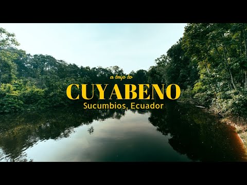 A trip to Cuyabeno, Sucumbios, Ecuador.