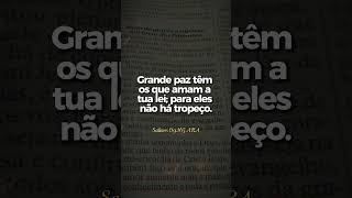 Grande paz têm os que amam a Lei de Deus 🙏📖