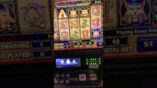 Cleopatra 2 x 5 cents @ Pechanga. How to turn $20 to ????