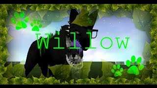 Feral Heart - Willow By Jasmine Thompson (msuic video Short)