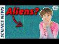 New Alien Signal Rumour What S Behind It