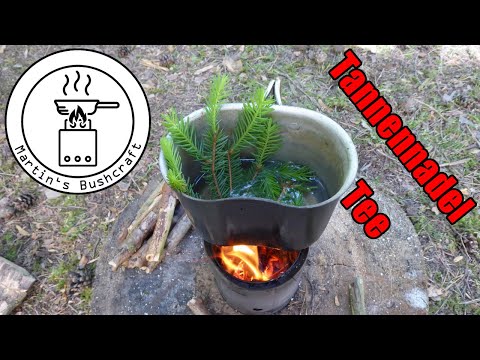 Fichtennadeltee | Martin´s Bushcraft