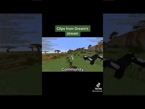 Dream finally admits he cheated.