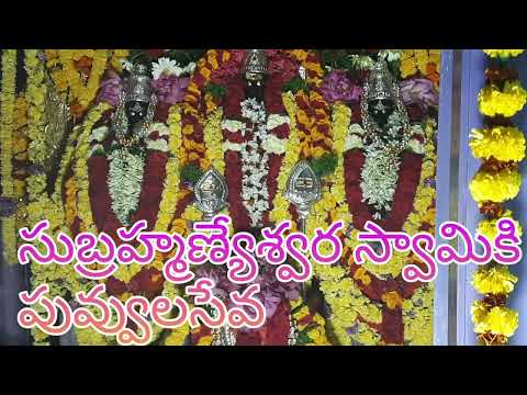 Satwika Vlogs "సుబ్రహ్మణ్యేశ్వర స్వామికీ  పువ్వుల  సేవ"