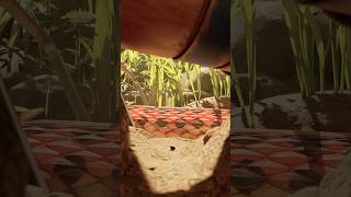 Grounded 2 - Snake Edit