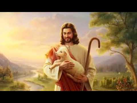 MPA Amavuta by James & Daniella official video 2019