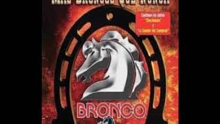 Bronco-cenizas