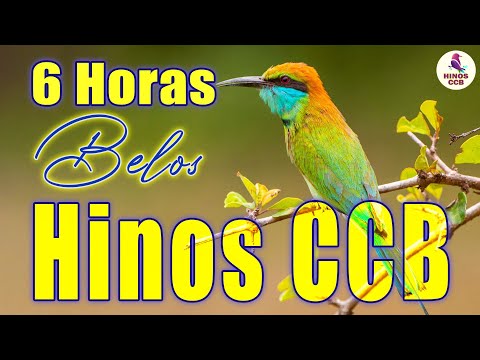 Belos Hinos CCb - 6 Horas de Louvores CCB - Hinos CCB Cantados