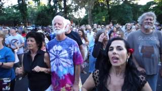 In a Daydream... FREDDY JONES BAND... Healdsburg Plaza 2017