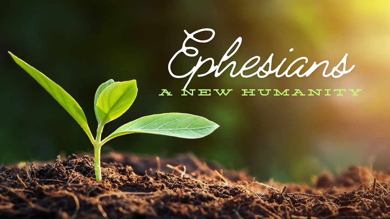 Ephesians: A New Humanity: Unity but not Uniformity