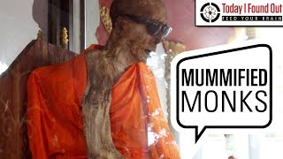 The Curious Case of Self Mummification
