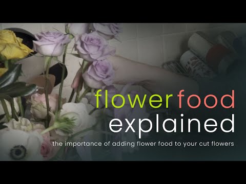 The Power of Flower Food Explained