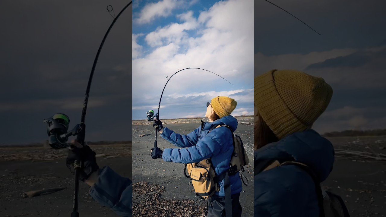 #shorts #釣り竿 #daiwa #タックル #釣り女子 #釣り #海釣り #おかっぱり #fishing #シーバス
