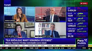 Türkiye'nin doğalgaz keşifleri, petrol ve doğalgaz aramaları