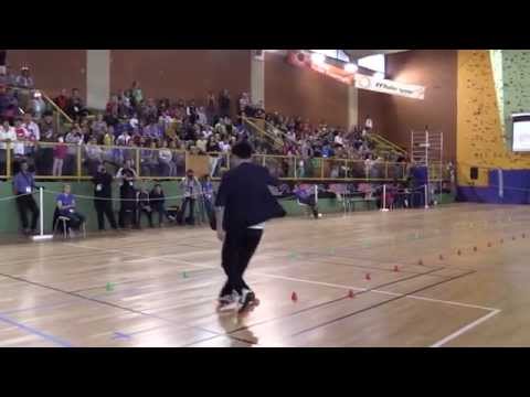 WFSC 2014 Zhang Hao 1st