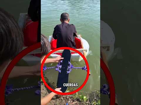 Calvo mágico 😲 #Catsoftiktok #CatLovers  #cat  #cute  #FunnyCats #catcartoon  #fyp