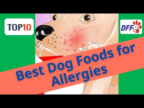 Top10 Best Dog Foods for Allergies(Reviews)✅Buying Guide 2021#DogFoodFirst