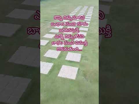 True #explore #bestquotes #quotes #sadreality #sadtruth #lifelessons #life #vanajacreations #shorts