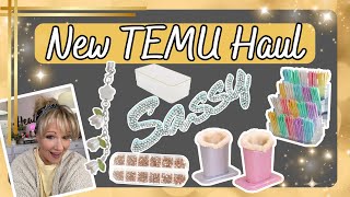 NEW TEMU HAUL VARIETY OF ITEMS