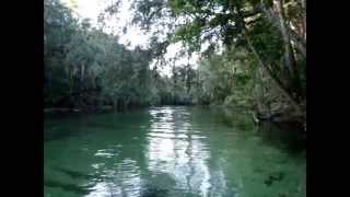 preview picture of video 'Blue Spring State Park - Orange City, FL'