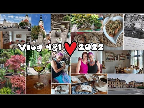 Vlog 481/22 - Tábor se Simčou