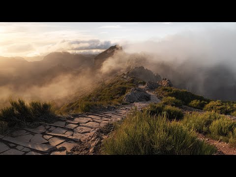 400 BELICHTUNGEN für EIN Foto?! Madeira fotografieren