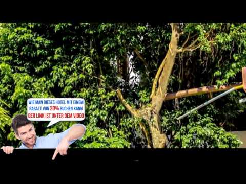 Amazon Apart Hotel, Iquitos , Peru, Bewertungen