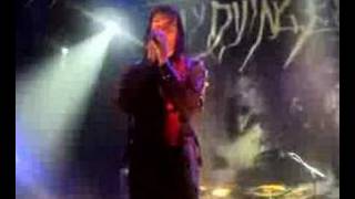 my dying bride-the whore,the cook and the mother