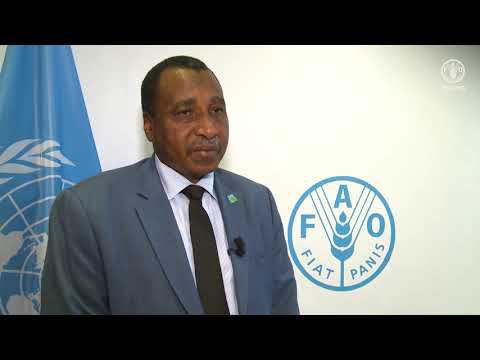 Remarks by Ibrahim Adam Ahmed El-dukheri, Director General of the Arab Organization