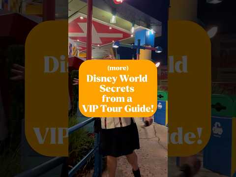 Disney VIP Tour Guide drops these SECRETS! (Part 2)