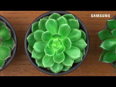 Samsung Demo QLED - Q Color RGB HDR