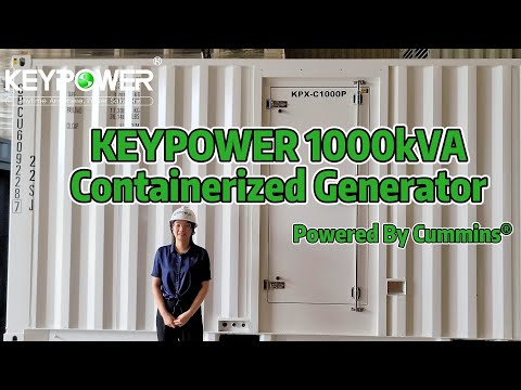 1000KVA Containerized Diesel Generators Powered By Cummins Engine