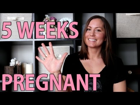 5 WEEK PREGNANCY UPDATE - Symptoms & Baby's Development