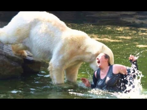 Animal Attack in Zoo